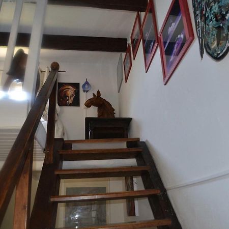 Gites Chambres D'Hotes Mazet Du Marechal Ferrant Сен Мари де ла Мер Екстериор снимка
