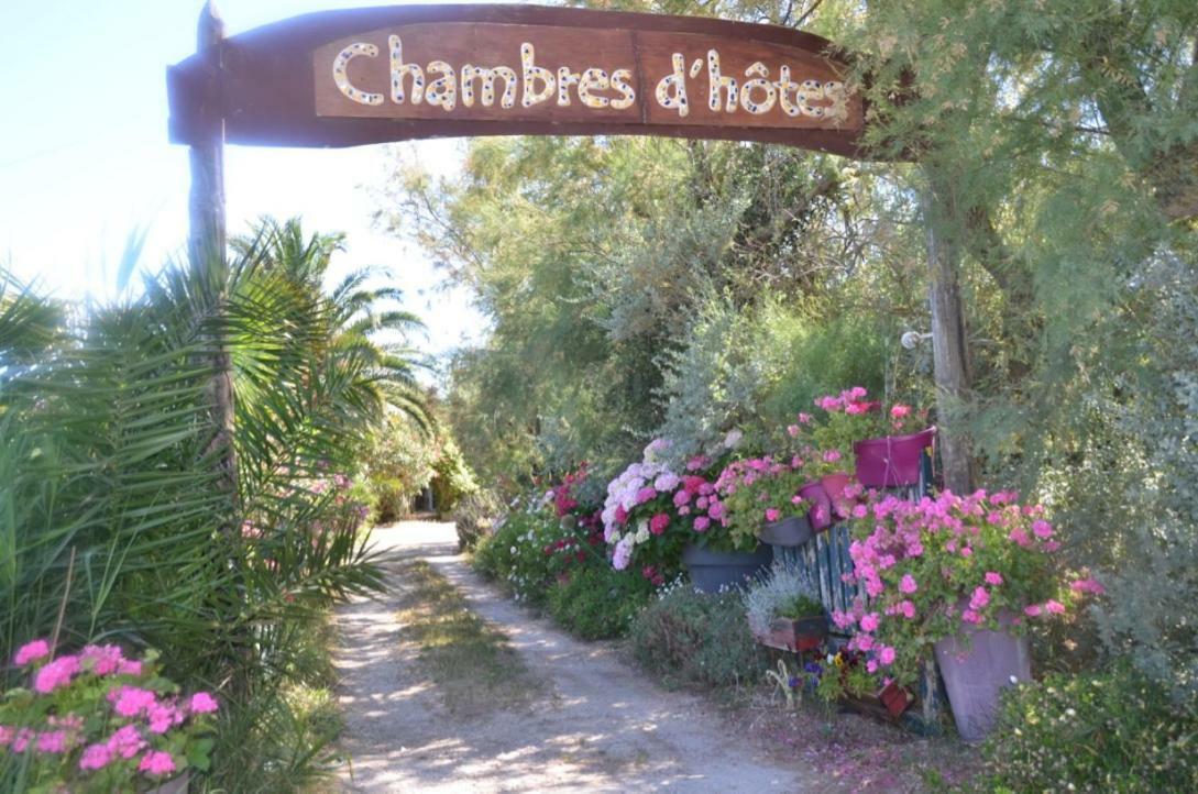 Gites Chambres D'Hotes Mazet Du Marechal Ferrant Сен Мари де ла Мер Екстериор снимка