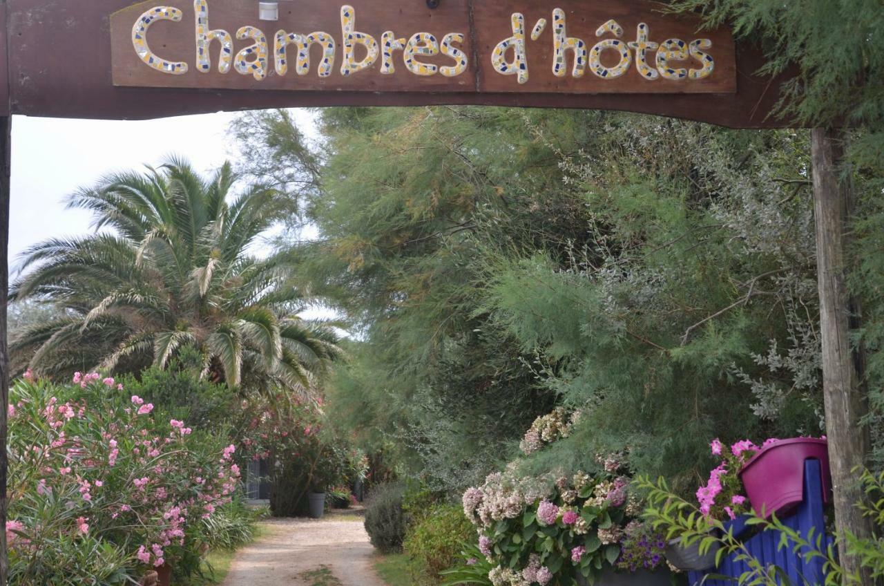 Gites Chambres D'Hotes Mazet Du Marechal Ferrant Сен Мари де ла Мер Екстериор снимка